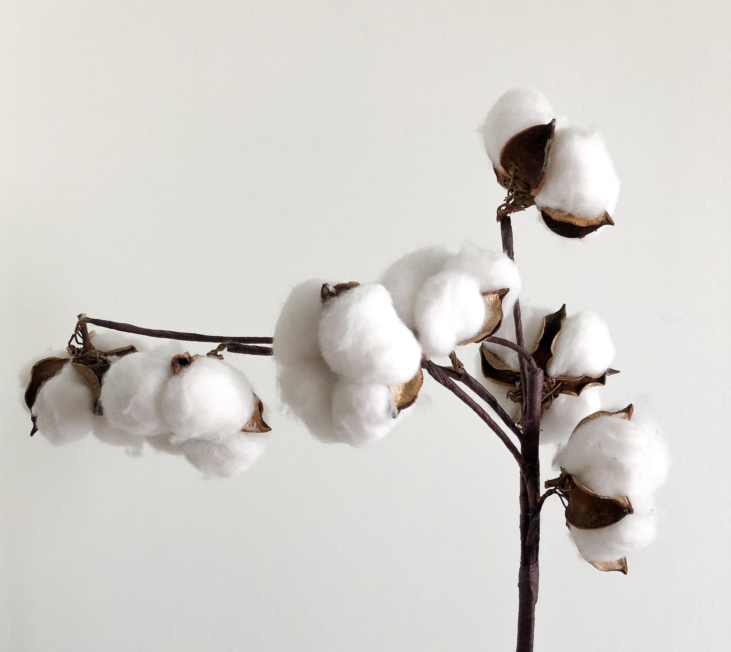 Japońska bawełna delikatna i miękka jak jedwab